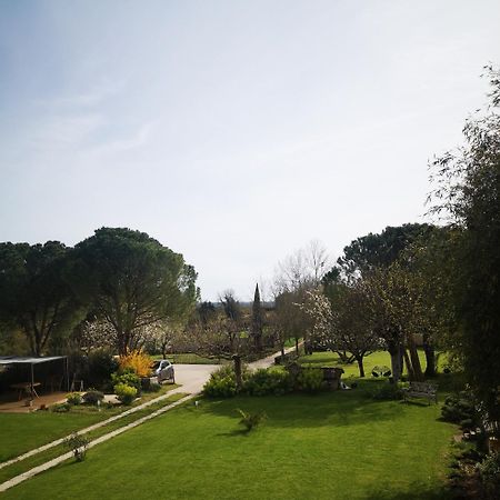 La Burie Bed & Breakfast Saint-Savinien ภายนอก รูปภาพ