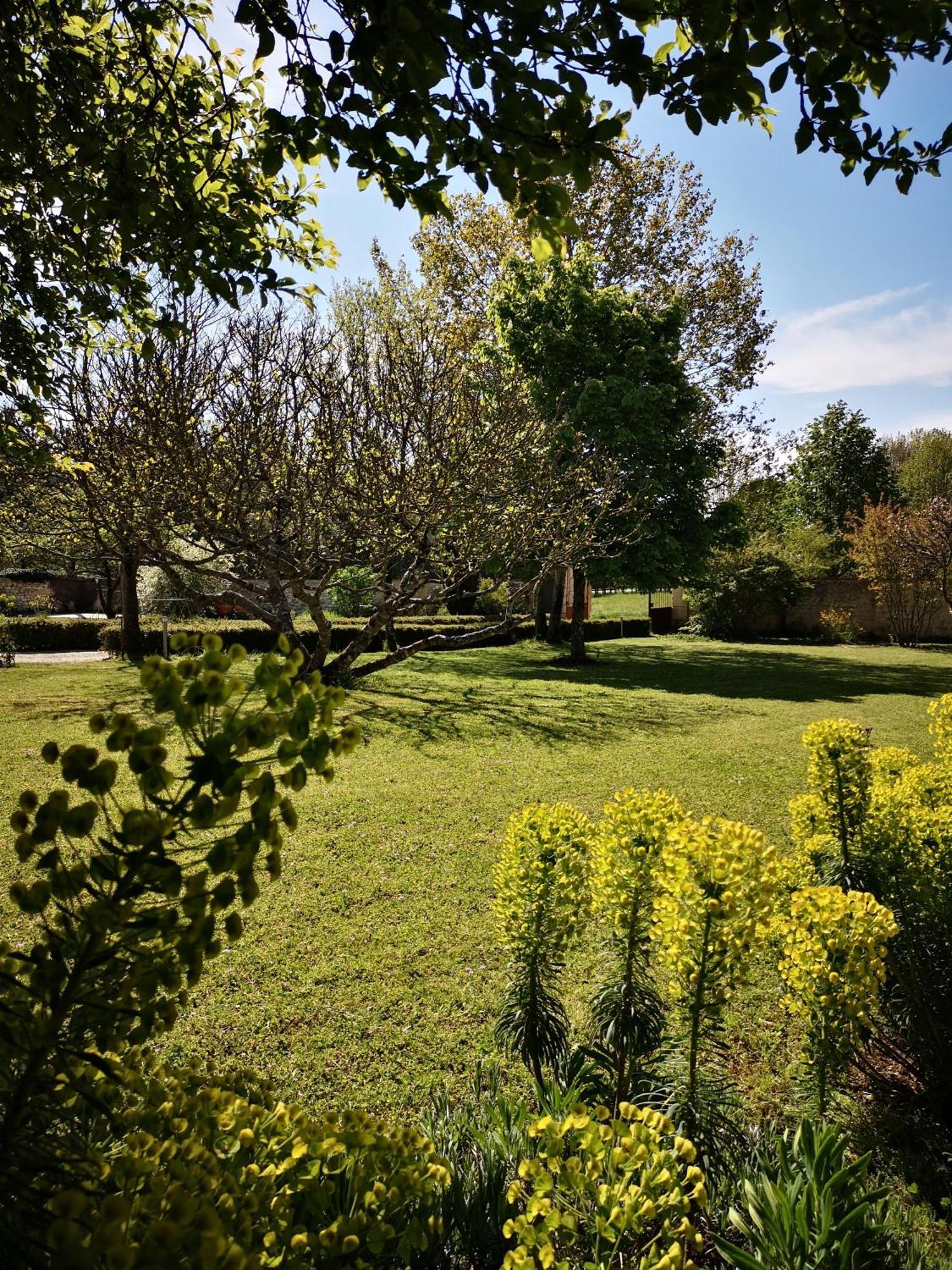 La Burie Bed & Breakfast Saint-Savinien ภายนอก รูปภาพ